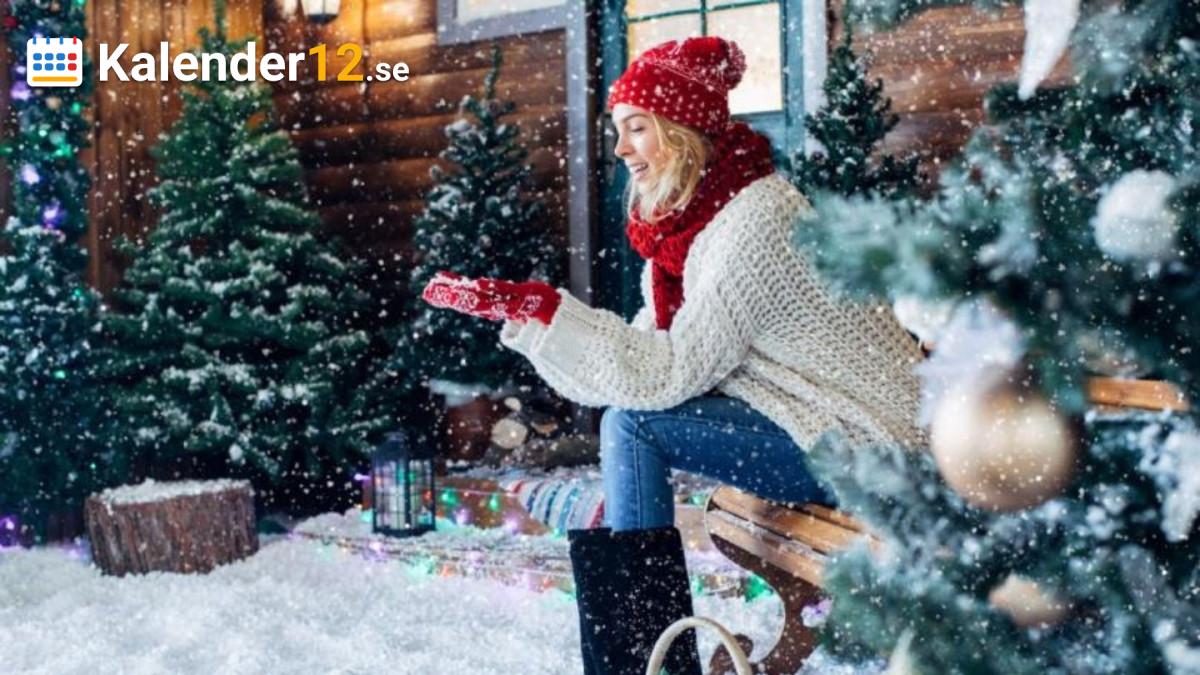 Bild Dagens Horoskop för 29 Augusti 2025